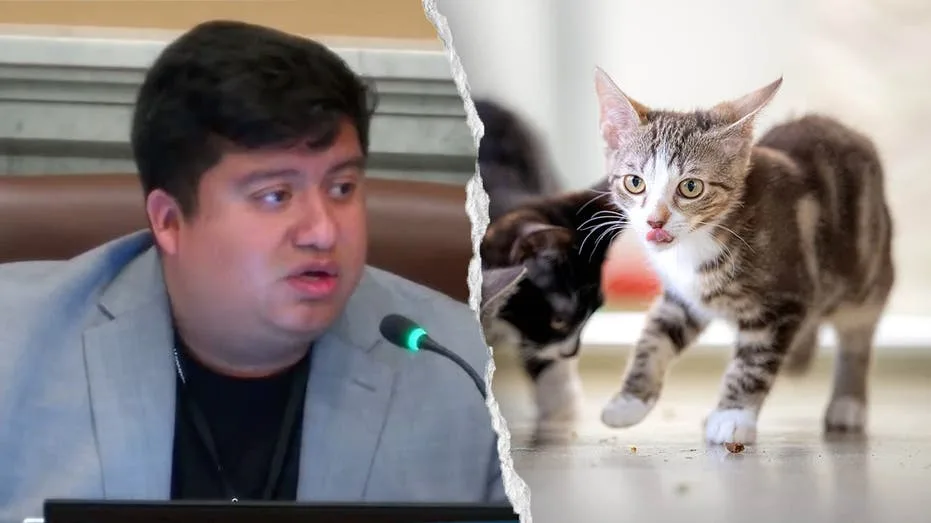 Minneapolis Councilman Draws Scrutiny for Claiming Self-Driving Cars "Murder" Pets