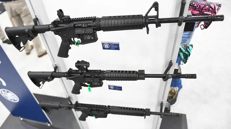 Federal Appeals Court: Some Nonviolent Felons Can Exercise Second Amendment Gun Rights